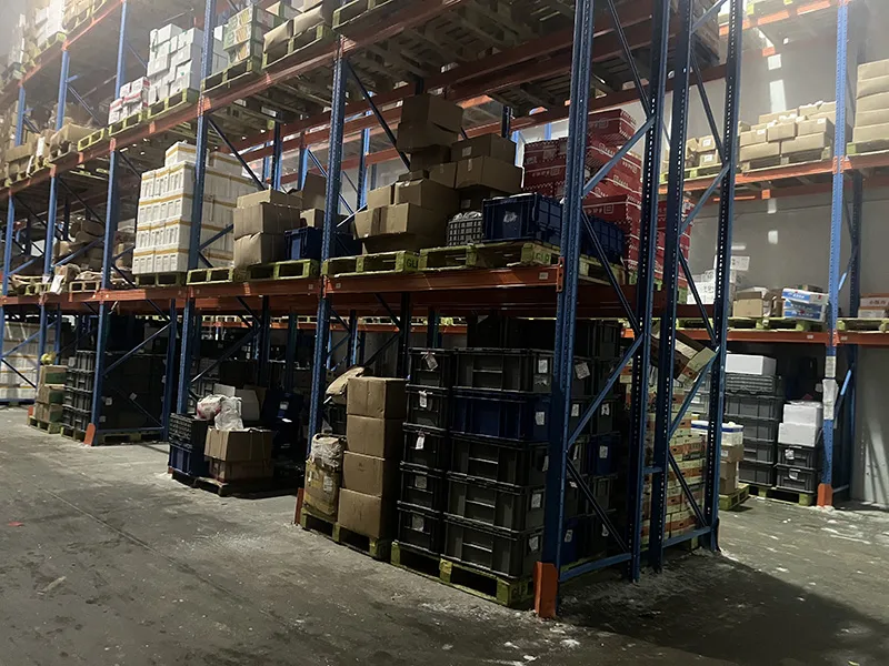 sdfd warehouse storage heavy duty rack system cold chain company use